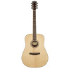 03 Rosewood Dreadnought Elet