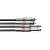 Cavo audio 3m 2xRca M/2xJack 6,3 M MO