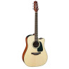 Dreadnought Ctw Elet Pro 2 Series