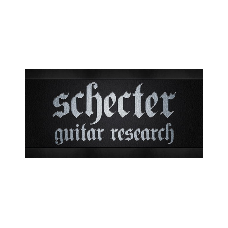 Insegna Schecter in forex