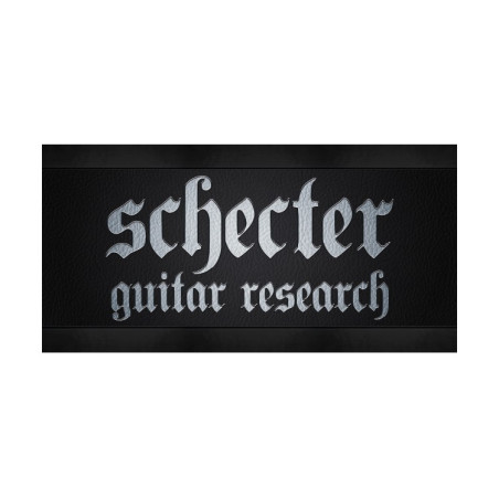 Insegna Schecter in forex