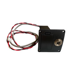 Battery box per chitarra...
