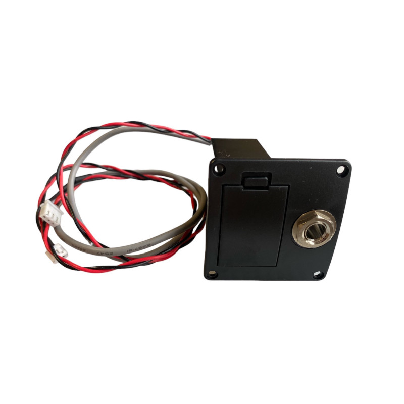 Battery box per chitarra acustica Sigma