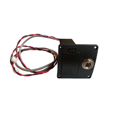 Battery box per chitarra acustica Sigma