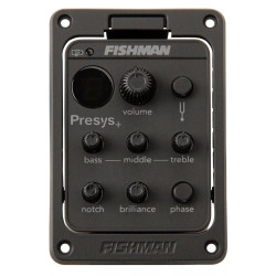 Preamplificatore Fishman...