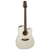 Dreadnought Ctw Elet G Series Pro