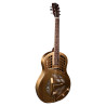 Chitarra resofonica metal elettrificata
