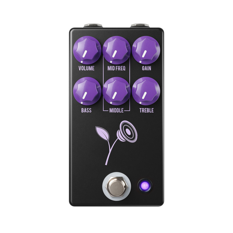 STD Lari Basilio Violet Black