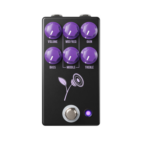 STD Lari Basilio Violet Black