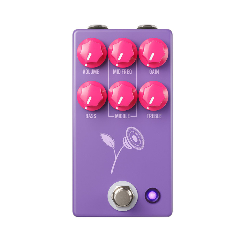 STD Lari Basilio Violet Purple