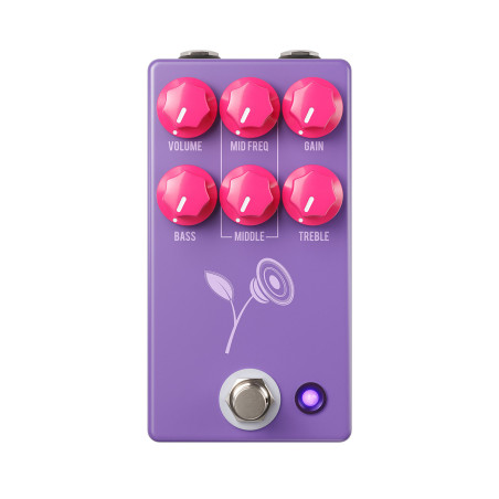 STD Lari Basilio Violet Purple