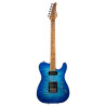 PT CUSTOM HH RESERVE LTD