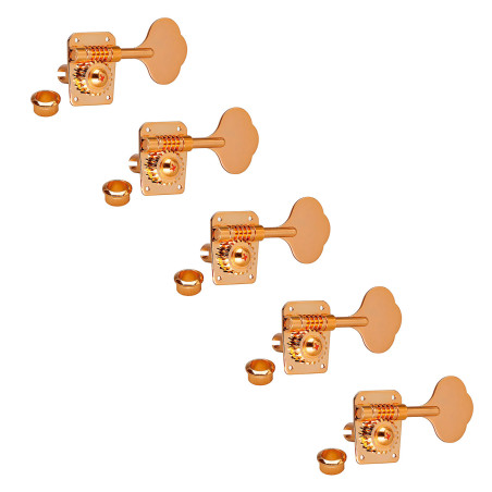 Meccaniche Basso 5L Gold
