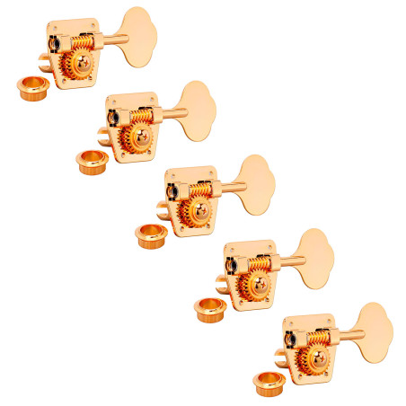 Meccaniche Basso 5L Gold