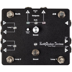 Swiss Things Pedalboard...