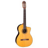 Classica Ctw Elet Pro Series