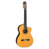 Classica Ctw Elet Pro Series