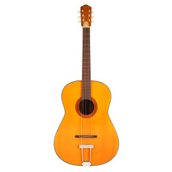 Hootenanny 6 Strings...