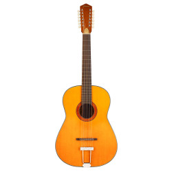 Hootenanny 12 Strings...