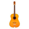 Hootenanny 6 Strings Vintage Natural Satin OP