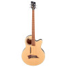 Alien Standard 4 Natural Satin