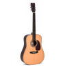 Standard All Solid Dreadnought