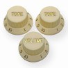 Knob Strat Style parchment/gold font 3pcs