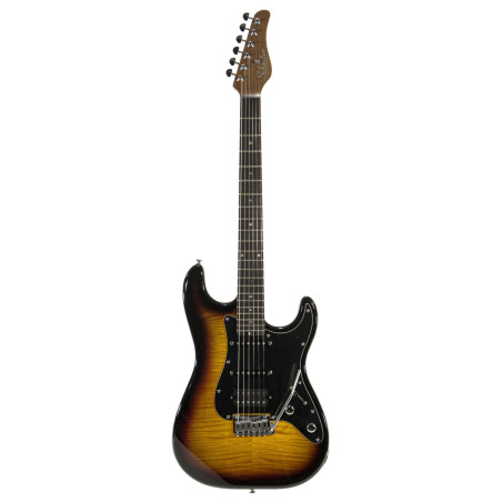 R66 Schecter Elite Traditional Contemporary