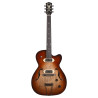 5th Avenue TL Gold Foil Vintage Burst HG