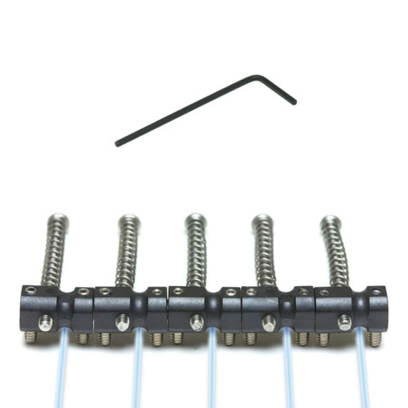 Ghost Saddle Piezo J/P Style 5 Strings Bass 5pcs