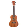 NUC310 Ukulele concerto