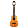 IRIS TINTA CONCERT NA Ukulele concerto