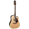 Dreadnought Ctw Elet Pro Selected Series