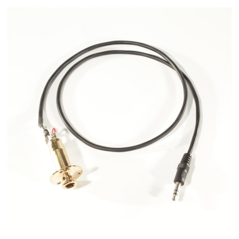 End pin jack bulk dorato con cavo