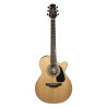 Fcx Ctw Elet G Selected Series