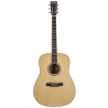 40 Mahogany Dreadnought