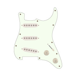 R66 Schecter Battipenna SSS...