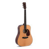 Standard All Solid Dreadnought