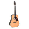 Custom Shop Dreadnought