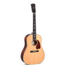Special Edition Dreadnought slope elettrificata