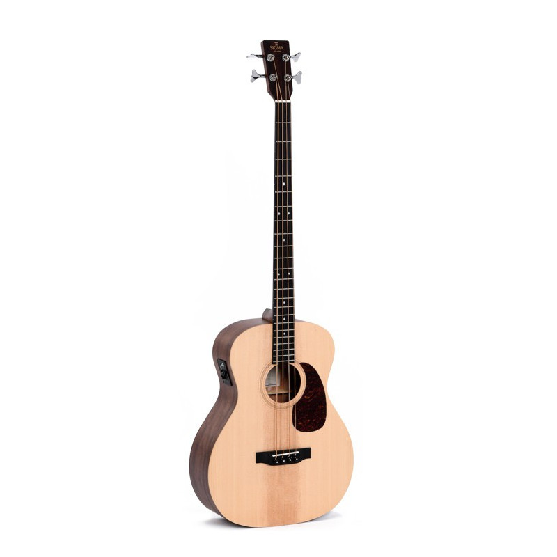 Basso acustico Jumbo elettrificato