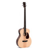 Basso acustico Jumbo elettrificato