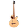 Alien Standard 4 Natural Satin