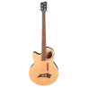 Alien Standard 5 Lefty Natural Satin