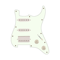 R66 Schecter Battipenna HSS...