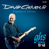 Boomers Elettrica David Gilmour Blue