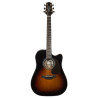 Dreadnought Ctw Elet G Selected Series