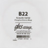 Singola acustica Phosphor Bronze 022