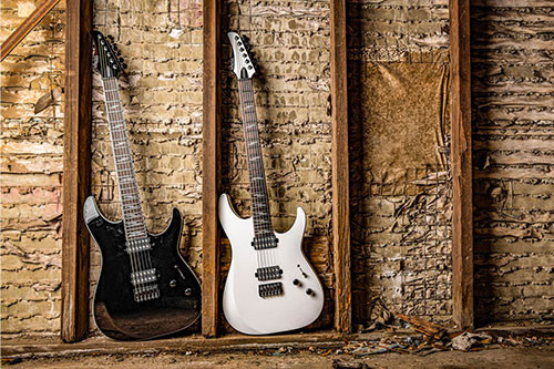 Schecter Reaper Custom Series
